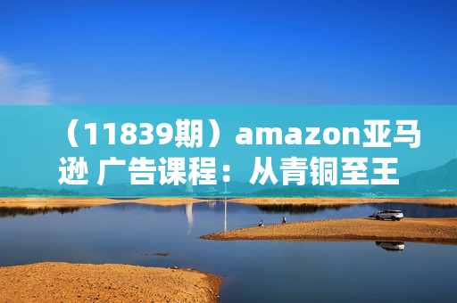 （11839期）amazon亚马逊 广告课程：从青铜至王者一步一步进阶学习（16节）