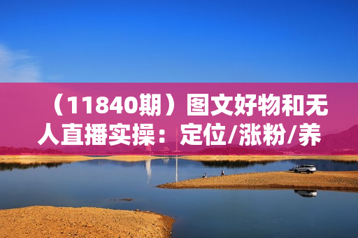 （11840期）图文好物和无人直播实操：定位/涨粉/养号/橱窗/作品/制作/剪辑/开播/等等