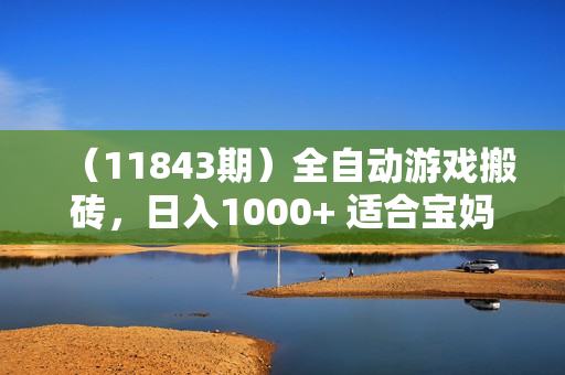 （11843期）全自动游戏搬砖，日入1000+ 适合宝妈小白的副业项目