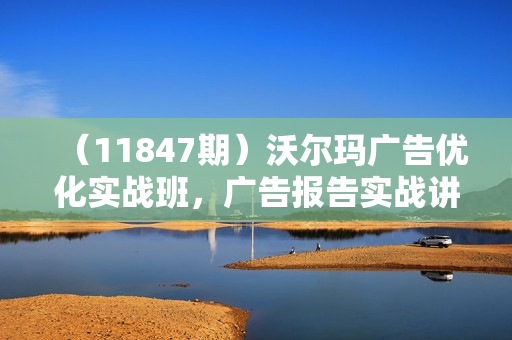 （11847期）沃尔玛广告优化实战班，广告报告实战讲解，广告如何提高转化和ROAS等