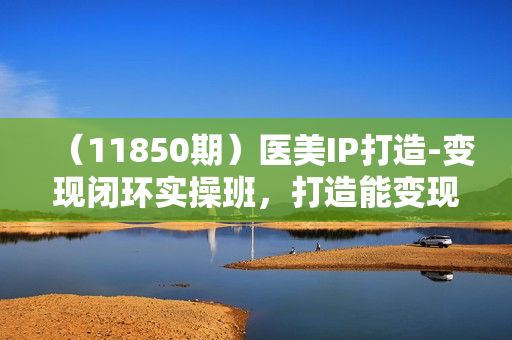 （11850期）医美IP打造-变现闭环实操班，打造能变现的IP商业闭环，医美玩家必看-22节