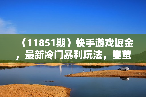（11851期）快手游戏掘金，最新冷门暴利玩法，靠萤火突击手游，单条变现1W+