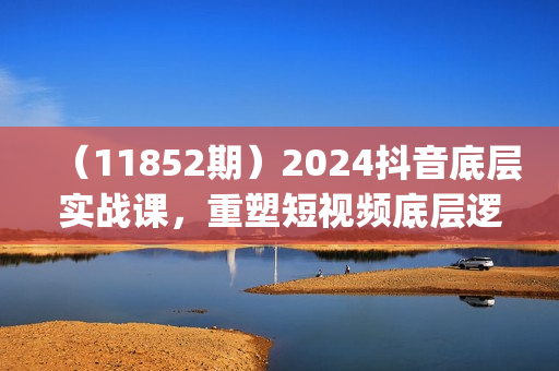 （11852期）2024抖音底层实战课，重塑短视频底层逻辑，打造个人ip变现（52节课）