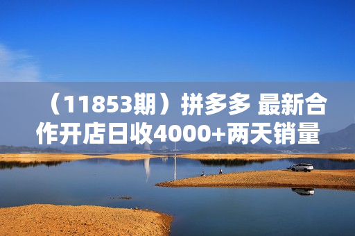 （11853期）拼多多 最新合作开店日收4000+两天销量过百单，无学费、老运营代操作、
