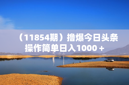 （11854期）撸爆今日头条操作简单日入1000＋