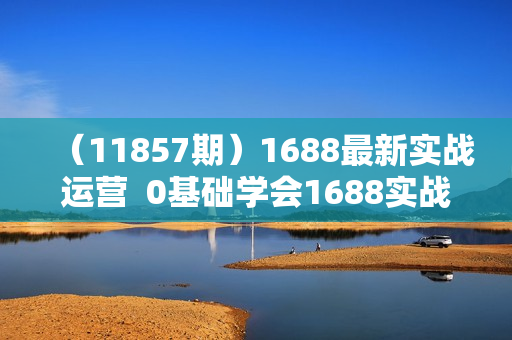 （11857期）1688最新实战运营  0基础学会1688实战运营，电商年入百万不是梦-131节