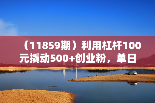 （11859期）利用杠杆100元撬动500+创业粉，单日变现5位数