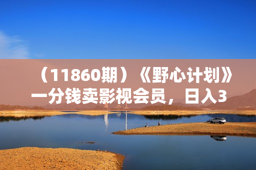 （11860期）《野心计划》一分钱卖影视会员，日入300+