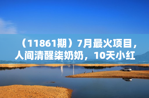 （11861期）7月最火项目，人间清醒柒奶奶，10天小红薯涨粉8w+，单篇笔记报价1400.