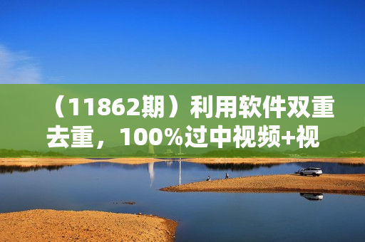 （11862期）利用软件双重去重，100%过中视频+视频号分成计划小白也可以月入4W+
