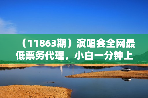 （11863期）演唱会全网最低票务代理，小白一分钟上手，手把手教你卖票，日入2000+