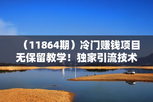 （11864期）冷门赚钱项目无保留教学！独家引流技术，无脑操作！小白也能月入5万+！