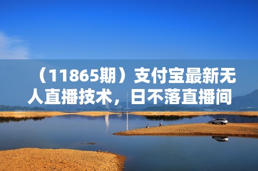 （11865期）支付宝最新无人直播技术，日不落直播间，打造正真睡后收入
