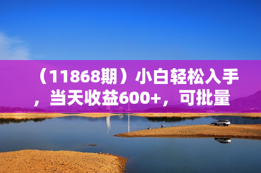 （11868期）小白轻松入手，当天收益600+，可批量可复制