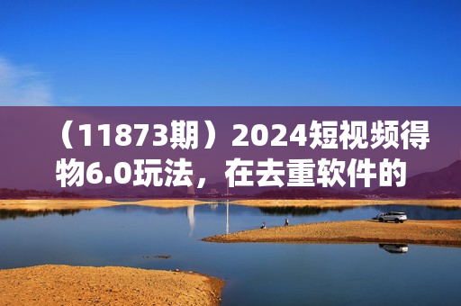 （11873期）2024短视频得物6.0玩法，在去重软件的加持下爆款视频，轻松月入过万