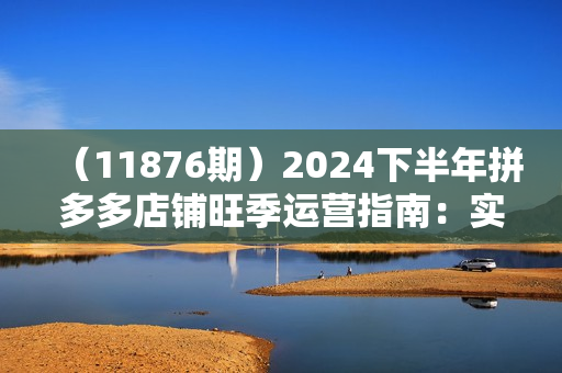 （11876期）2024下半年拼多多店铺旺季运营指南：实操玩法汇总（8节课）