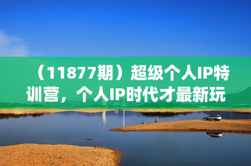（11877期）超级个人IP特训营，个人IP时代才最新玩法，素人变网红可行性方案 (61节)