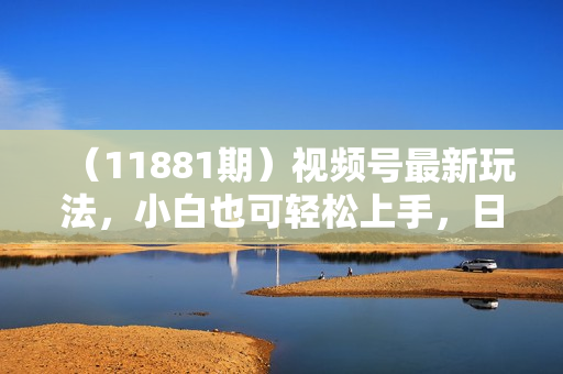（11881期）视频号最新玩法，小白也可轻松上手，日入1000+