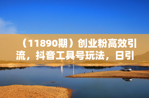 （11890期）创业粉高效引流，抖音工具号玩法，日引300+，不要成为学习高手，要成为