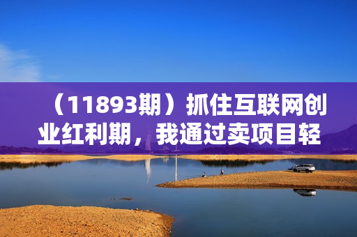 （11893期）抓住互联网创业红利期，我通过卖项目轻松赚取100W+