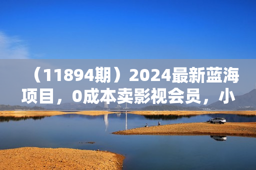 （11894期）2024最新蓝海项目，0成本卖影视会员，小白也能日入3位数