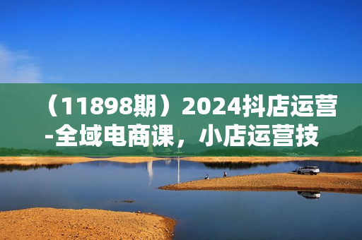 （11898期）2024抖店运营-全域电商课，小店运营技术，全域电商运营（23节课）