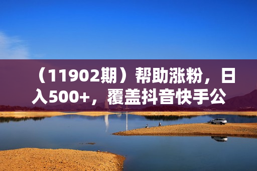（11902期）帮助涨粉，日入500+，覆盖抖音快手公众号客源广，小白可以直接上手