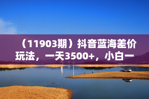 （11903期）抖音蓝海差价玩法，一天3500+，小白一部手机轻松上手