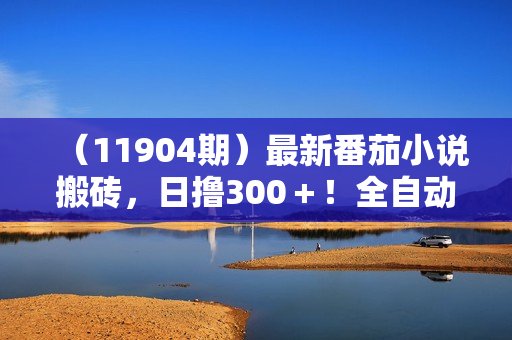 （11904期）最新番茄小说搬砖，日撸300＋！全自动操作，可矩阵放大