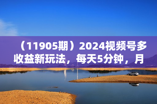 （11905期）2024视频号多收益新玩法，每天5分钟，月入3w+，新手小白都能简单上手