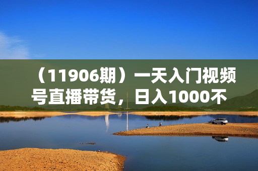 （11906期）一天入门视频号直播带货，日入1000不是梦