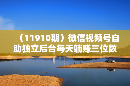 （11910期）微信视频号自助独立后台每天躺赚三位数可矩阵操作解放双手