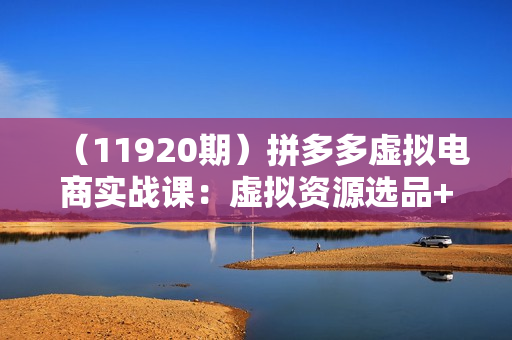 （11920期）拼多多虚拟电商实战课：虚拟资源选品+运营，高利润虚拟玩法（更新14节）
