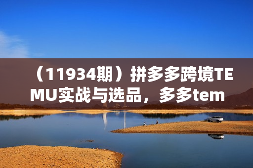 （11934期）拼多多跨境TEMU实战与选品，多多temu跨境选品运营实操（33节）