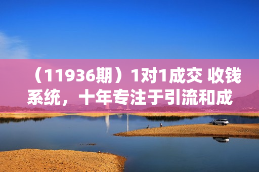 （11936期）1对1成交 收钱系统，十年专注于引流和成交，全网130万+粉丝