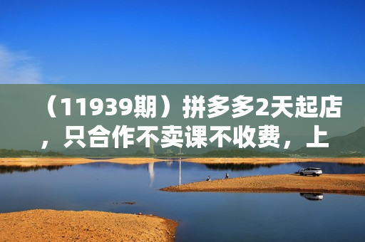 （11939期）拼多多2天起店，只合作不卖课不收费，上架产品无偿对接日入1000+