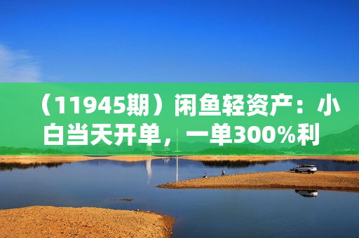 （11945期）闲鱼轻资产：小白当天开单，一单300%利润，持续爆单，日入1000+