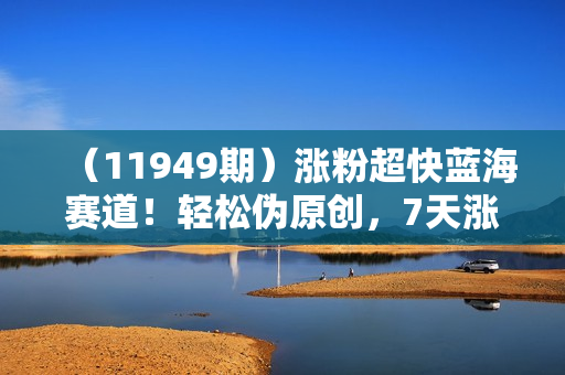 （11949期）涨粉超快蓝海赛道！轻松伪原创，7天涨粉1.5w+