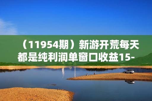 （11954期）新游开荒每天都是纯利润单窗口收益15-50单机收益200+