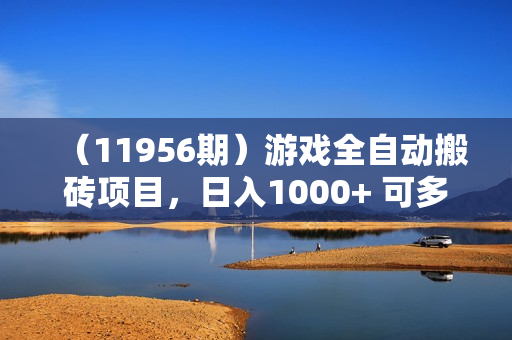 （11956期）游戏全自动搬砖项目，日入1000+ 可多号操作