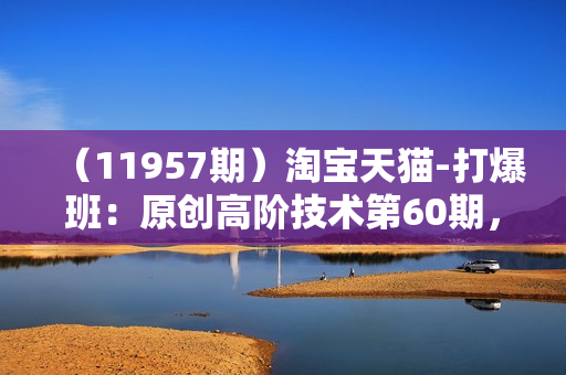 （11957期）淘宝天猫-打爆班：原创高阶技术第60期，淘宝虚拟怼付费项目-18节