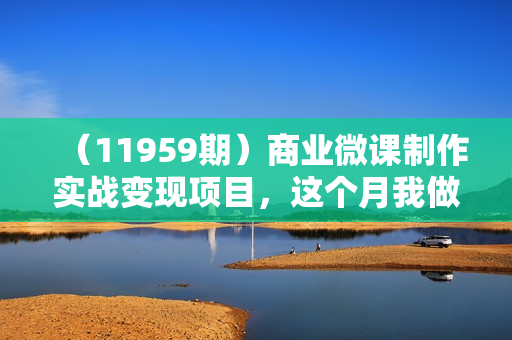 （11959期）商业微课制作实战变现项目，这个月我做微课赚了2W+