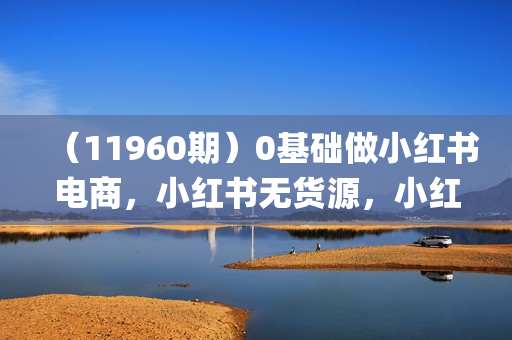 （11960期）0基础做小红书电商，小红书无货源，小红书系统运营，入门到精通 (70节)