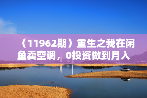 （11962期）重生之我在闲鱼卖空调，0投资做到月入过万，迎娶白富美，走上人生巅峰