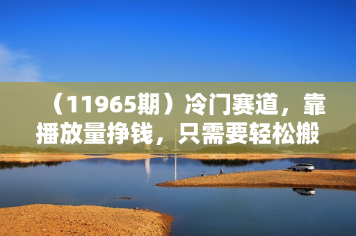（11965期）冷门赛道，靠播放量挣钱，只需要轻松搬运，日赚300+
