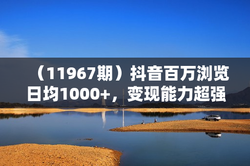 （11967期）抖音百万浏览日均1000+，变现能力超强，实操无难点
