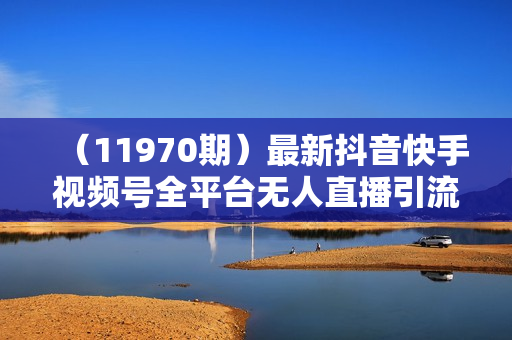 （11970期）最新抖音快手视频号全平台无人直播引流1000+精准创业粉，日轻松变现5000+