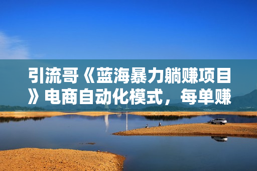 引流哥《蓝海暴力躺赚项目》电商自动化模式，每单赚50-500