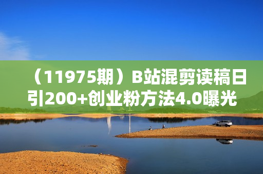 （11975期）B站混剪读稿日引200+创业粉方法4.0曝光，24年8月最新方法Ai一键操作 速