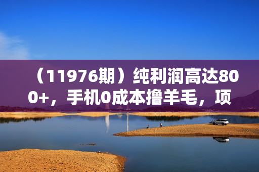 （11976期）纯利润高达800+，手机0成本撸羊毛，项目纯绿色，可稳定长期操作！